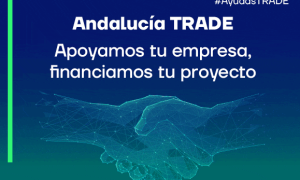 Captura de pantalla 2024-06-05 a las 10.51.24